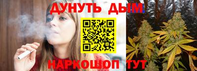 гашик Будённовск