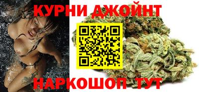 гашик Будённовск