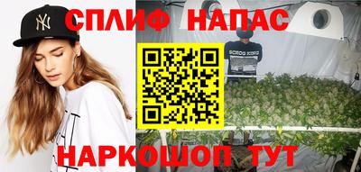 стаф Бузулук
