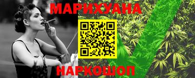 гашик Будённовск