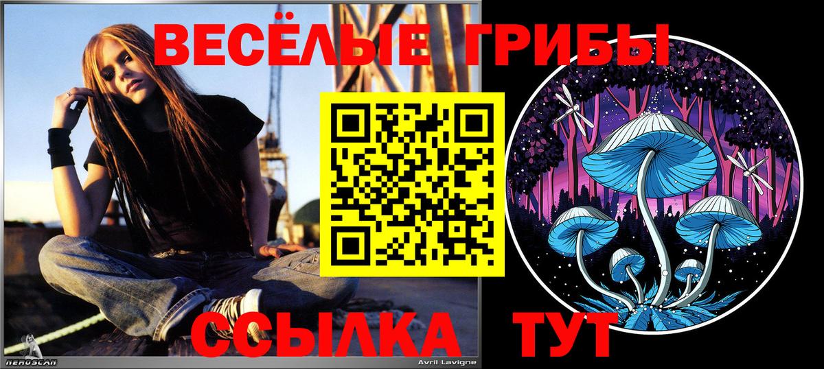 Псилоцибиновые грибы Psilocybine cubensis  сколько стоит  Галлюциногенные грибы MAGIC MUSHROOMS  Озёрск  Вход с VPN 
